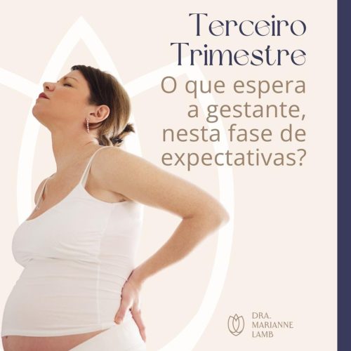 Imagem do WhatsApp de 2025-07-20 à(s) 17.50.03_f9c0a6ae